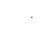 Blue Skua